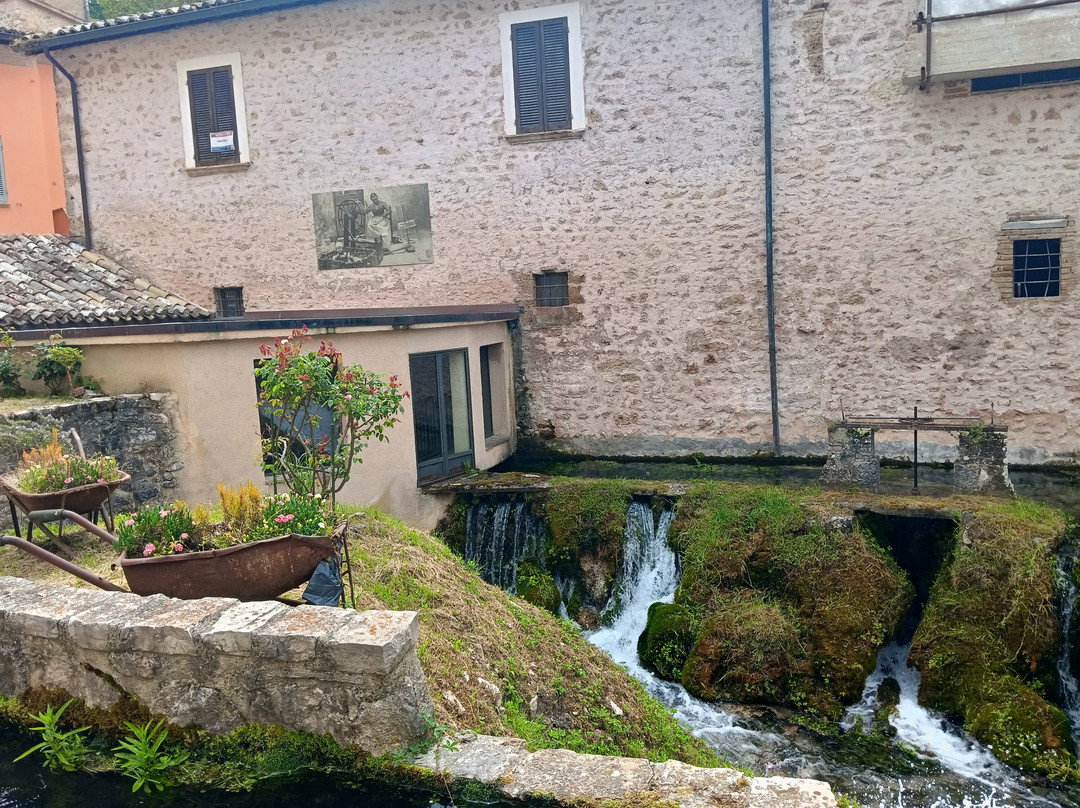 Hotel Il Gabbiano主图