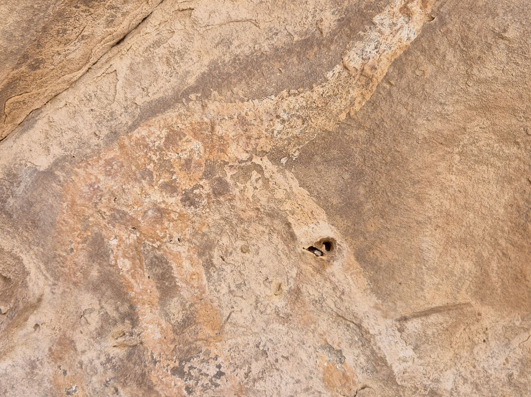 Mauritania Sahara-Boutilimit必去景点