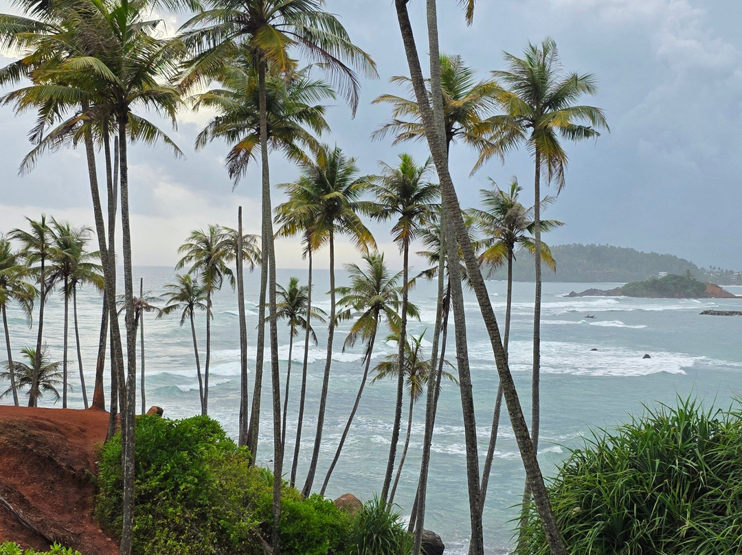 Coconut Tree Hill-美蕊沙必去景点