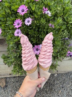 Lewis Farms-Levin必去景点