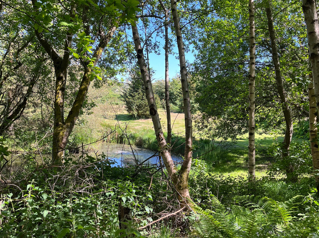 BallyBurren Outdoor Escapes景点图片
