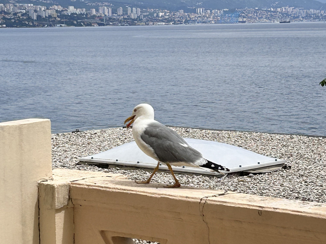 Hotel Lungomare Opatija - Liburnia主图