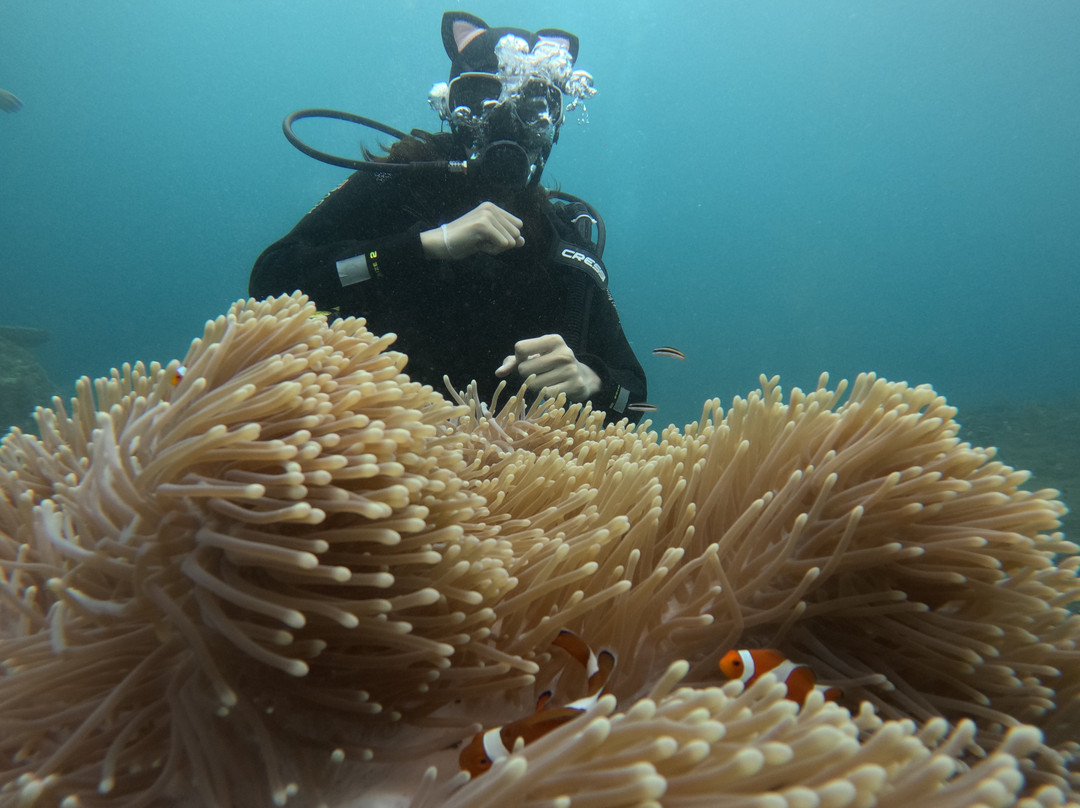 Tulamben Dive-图兰本必去景点