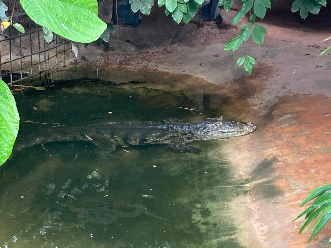 La Ferme Aux Crocodiles景点图片