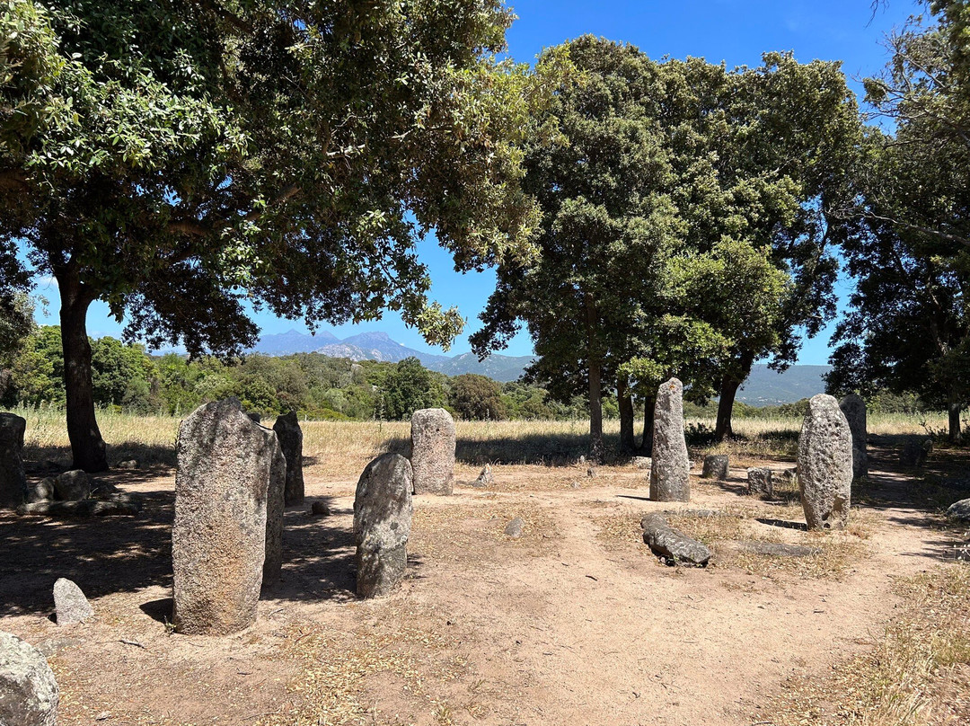 Megaliths of Cauria景点图片