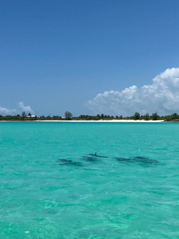 Spanish Wells Fishing-Spanish Wells必去景点