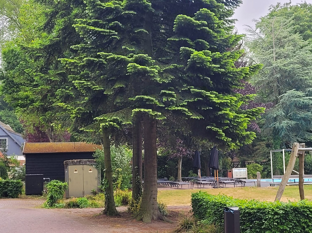 Hierden酒店住宿-Veluwe Hotel de Beyaerd