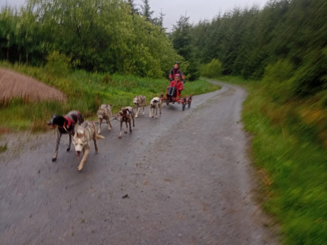 Mynydd Sleddog Adventures景点图片