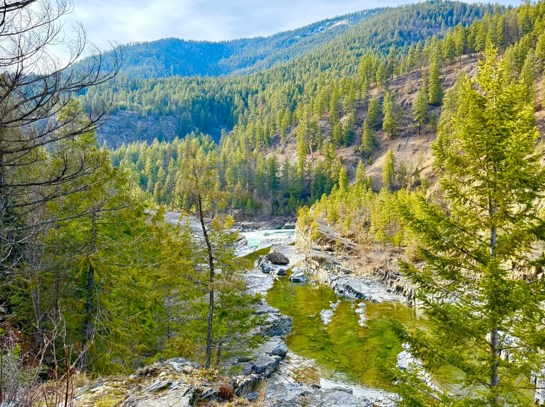 Evergreen Motel主图