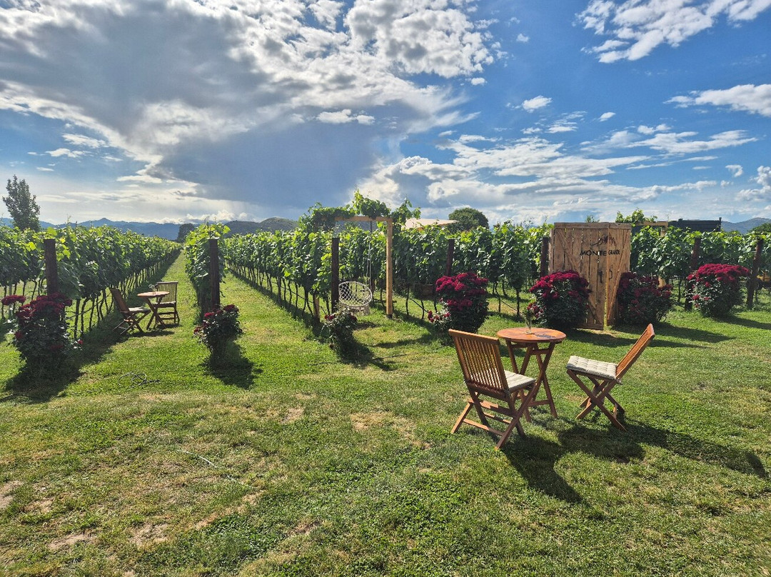 Monte Grande Winery