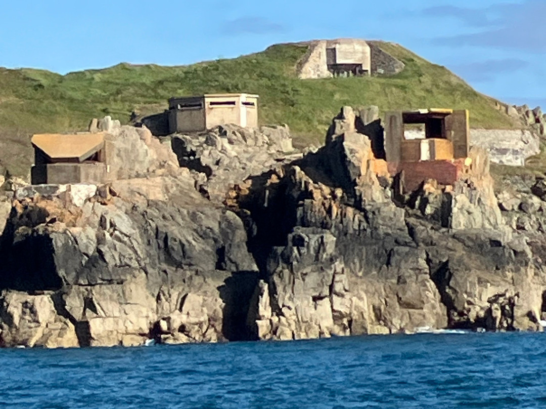 Avante Boat Trips-Alderney必去景点