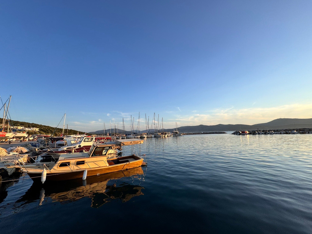 Özbek Marina