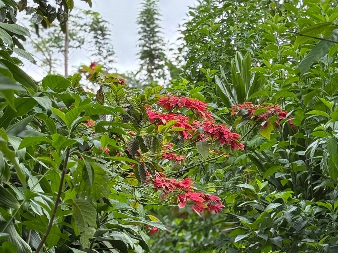 Star Rinjani-Bayan必去景点