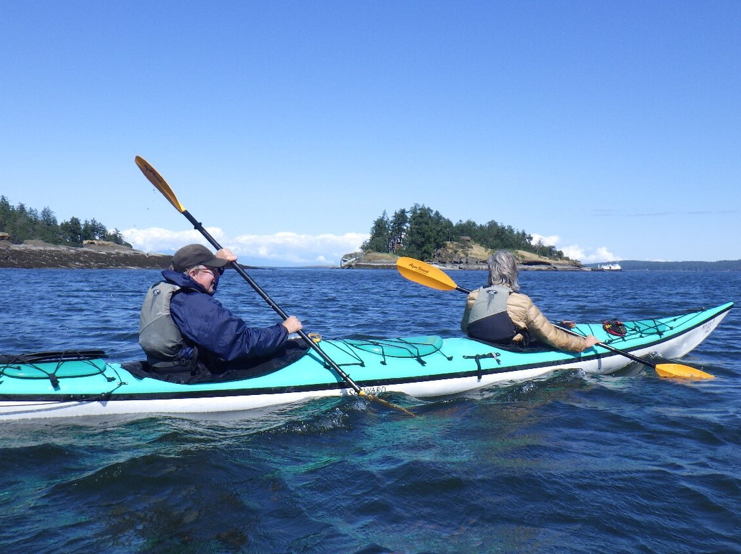 Island Römer Adventures景点图片