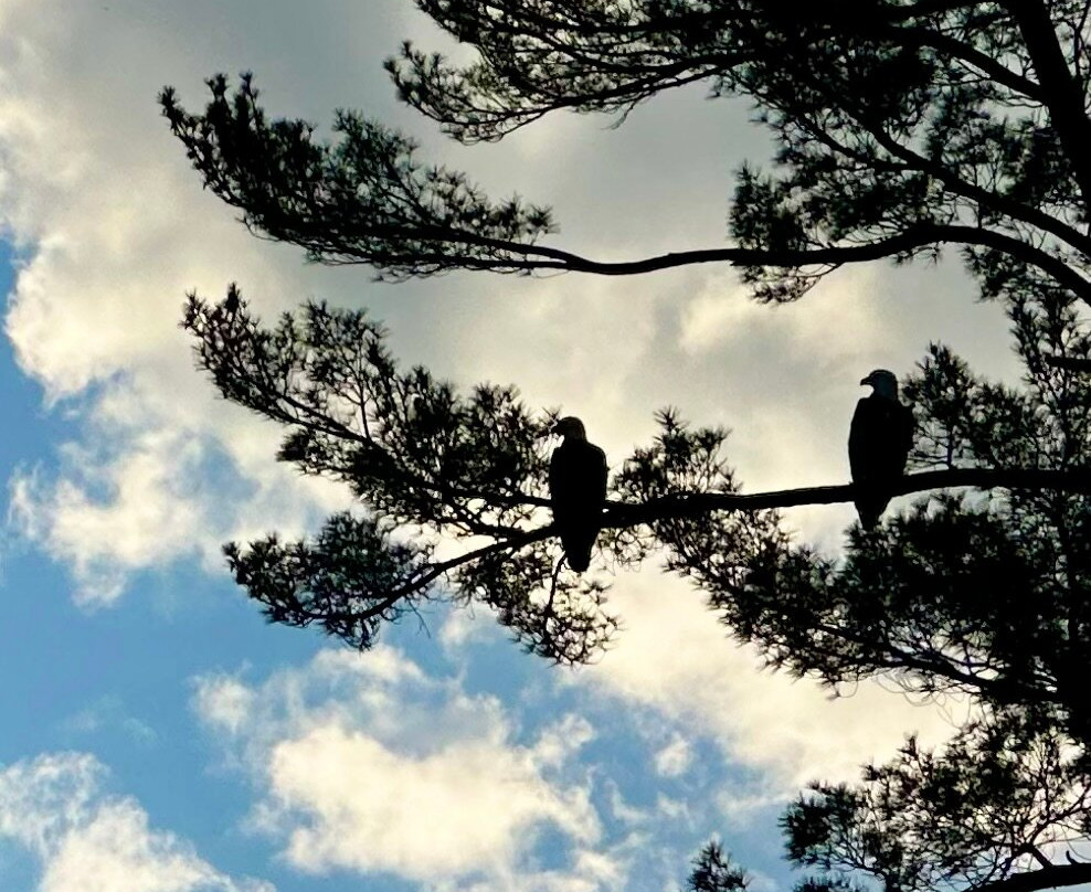 Taylors Falls Scenic Boat Tours-Taylors Falls必去景点