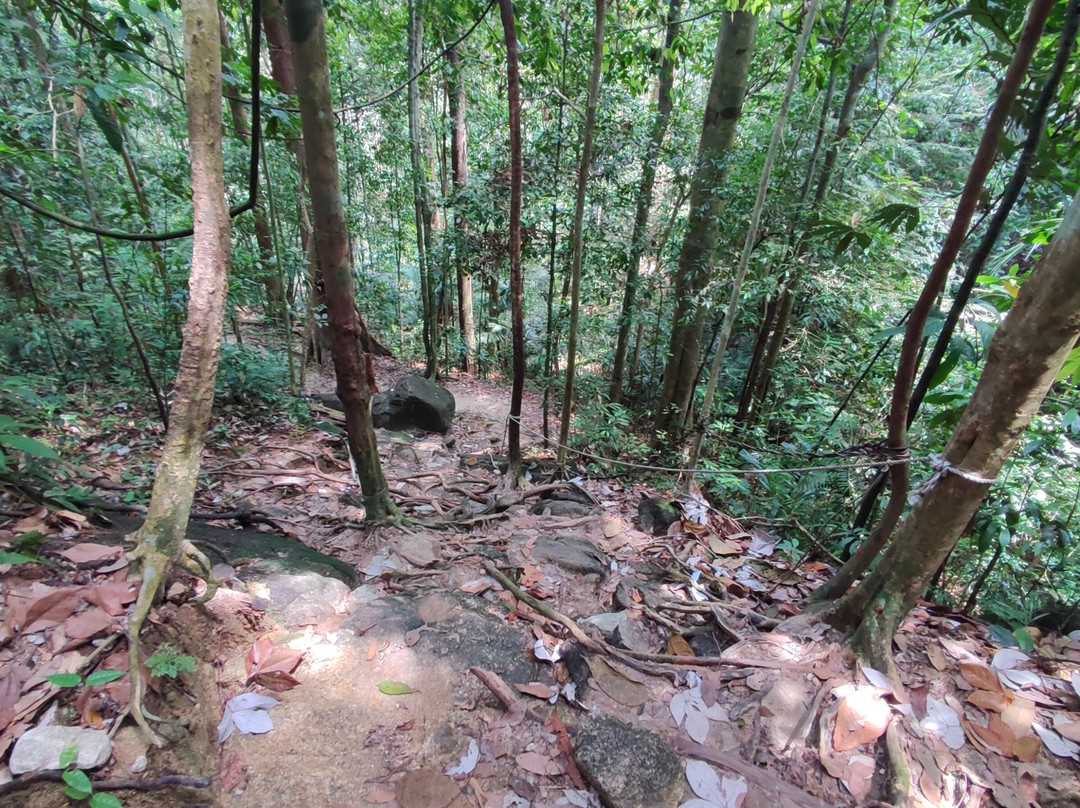 Bukit Larut景点图片