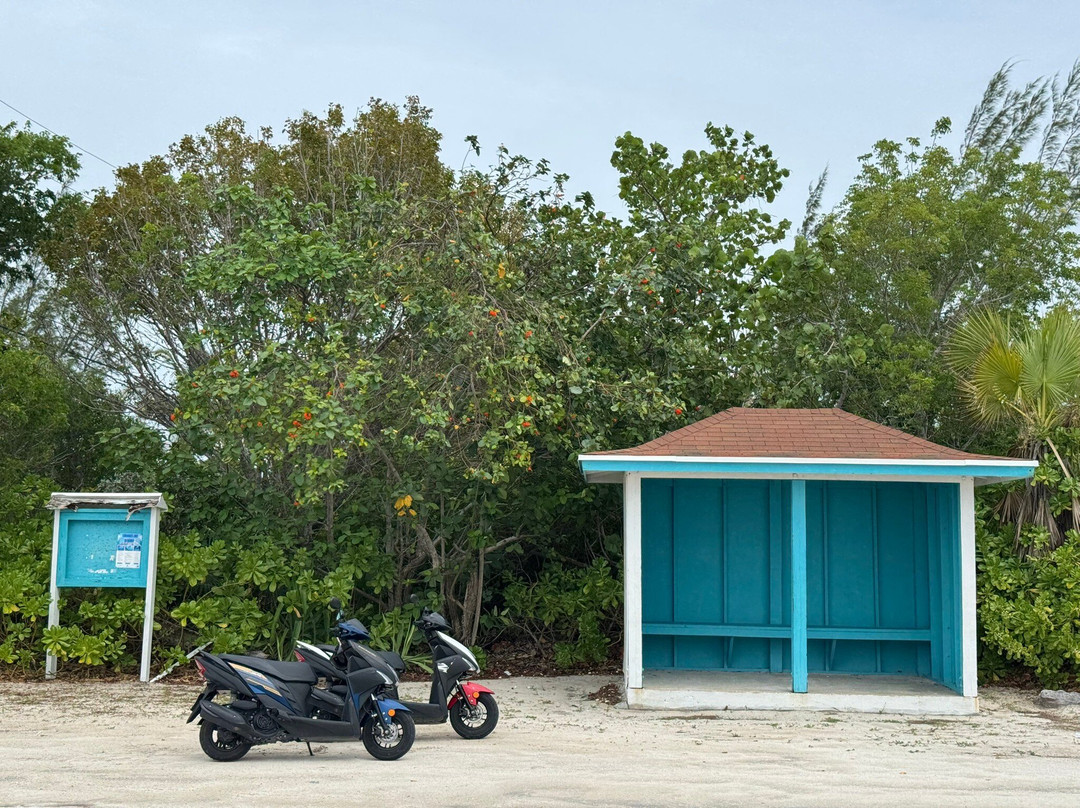 K's Scooter Rental景点图片