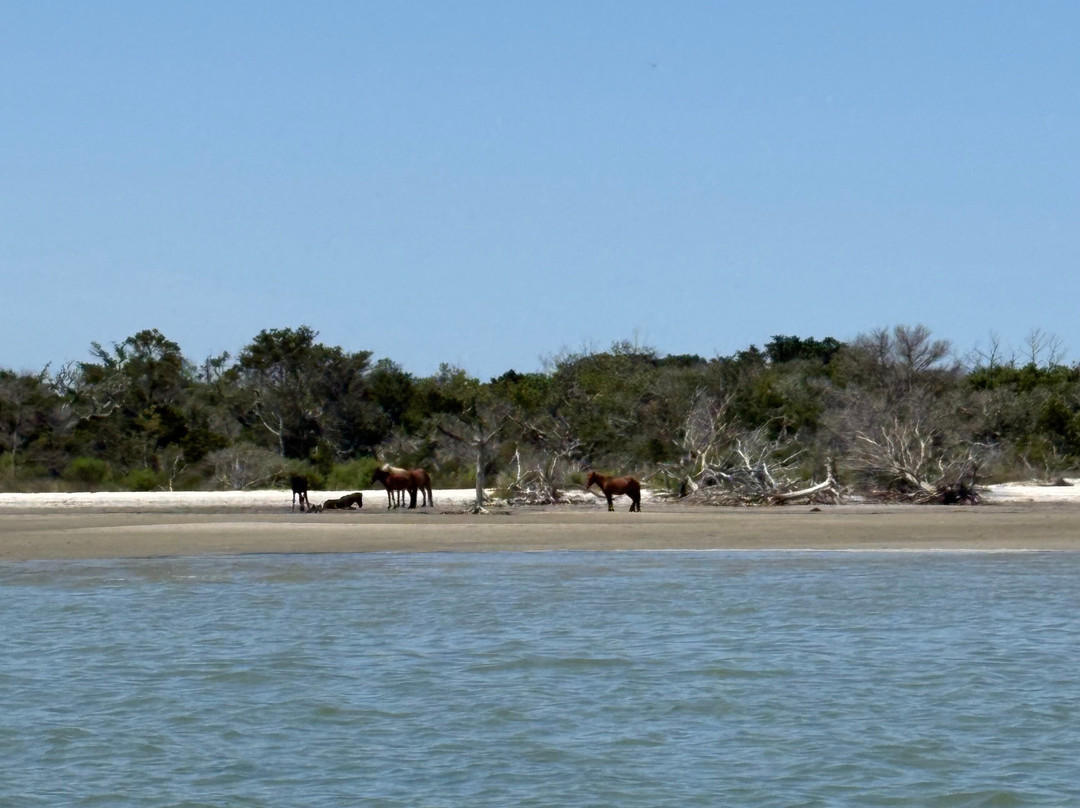 Crystal Coast Ecotours景点图片