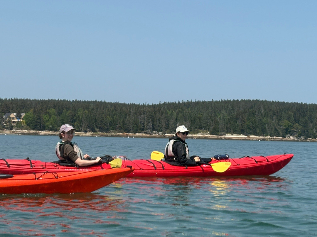 Osprey's Echo Sea Kayaking景点图片