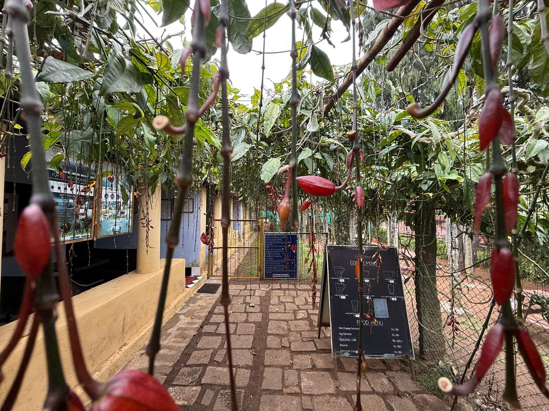 Cauvery Peak-亚尔考德必去景点