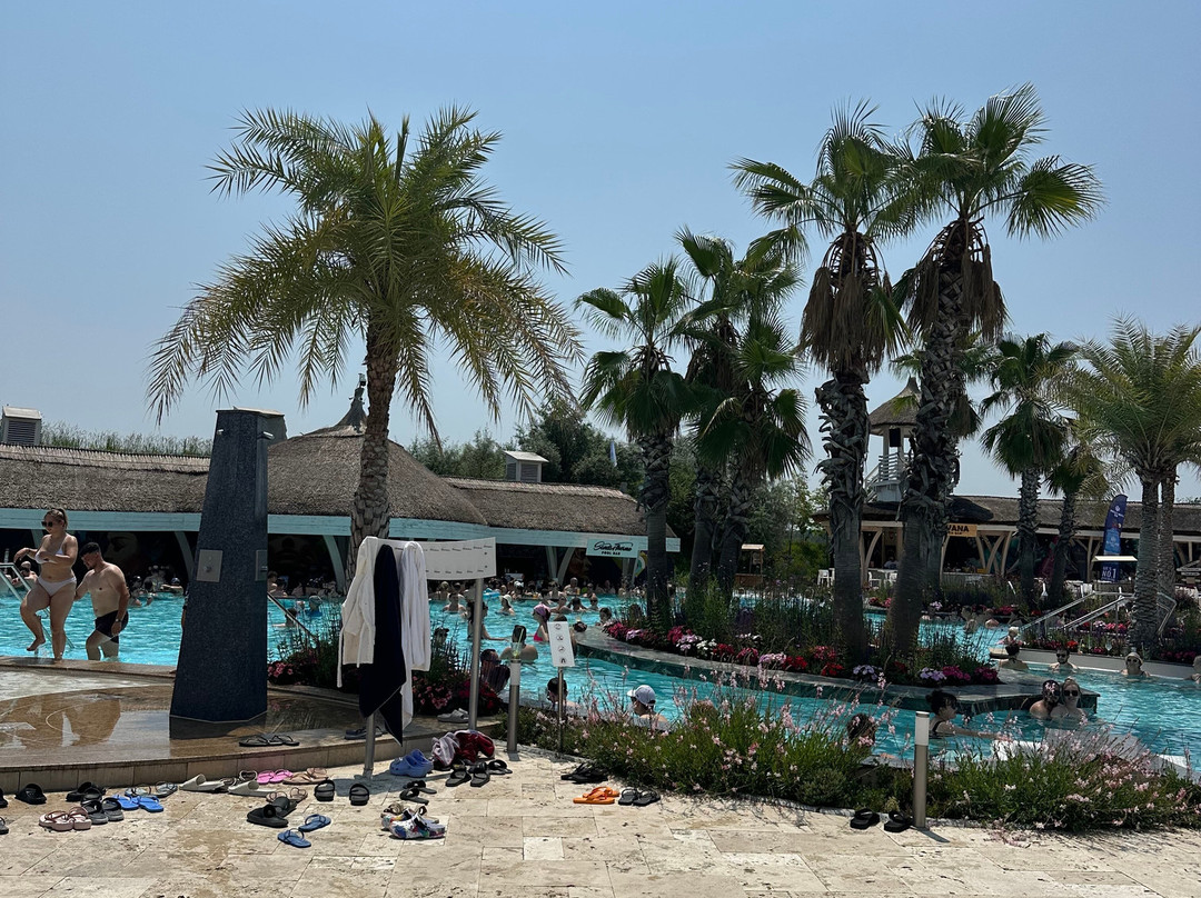 Therme Bucuresti景点图片