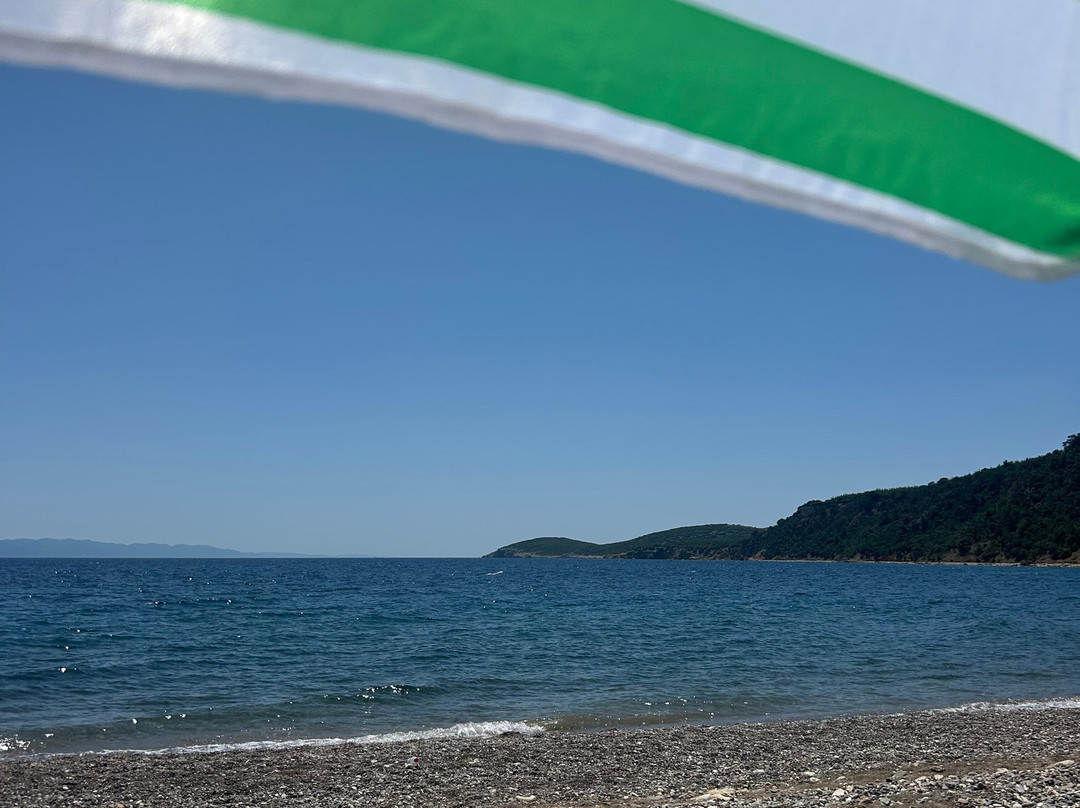 Sait Faik Abasıyanık Koyu-Mecidiye必去景点