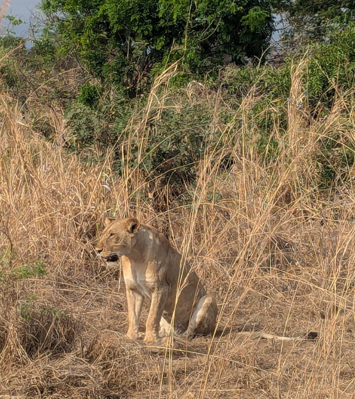 Safari Stride-Ngorongoro必去景点