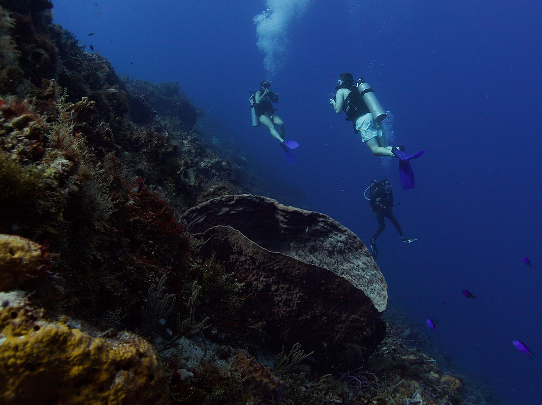 Dive  Palancar-考祖梅必去景点