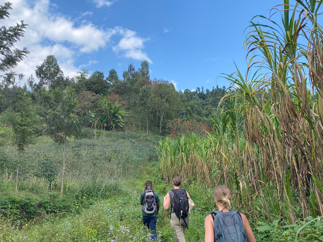 Kabendera Rwanda Hike景点图片