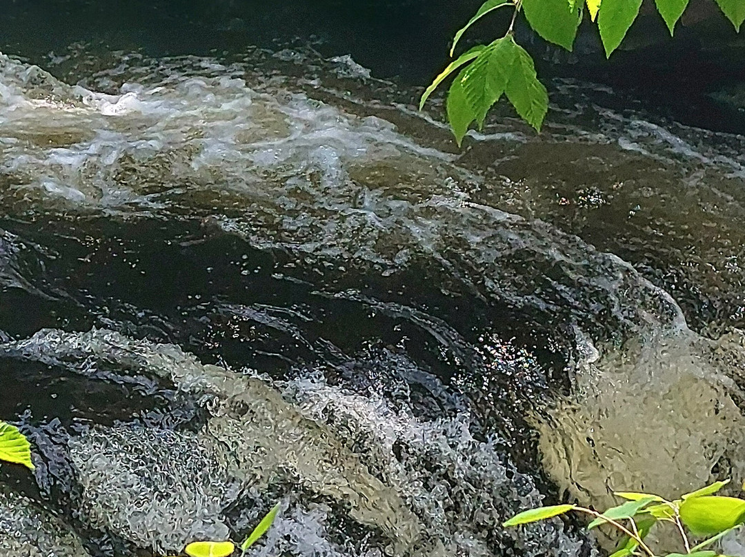 Oxtongue River-Ragged Falls Provincial Park-Dwight必去景点