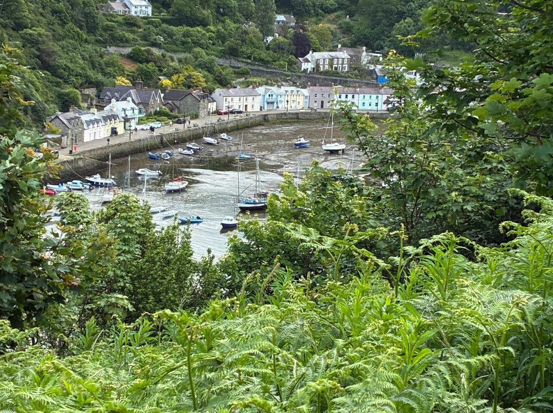 Fishguard Lower Town Harbour-Fishguard必去景点