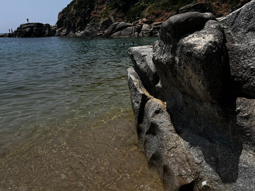 Spiaggia di Cavoli景点图片