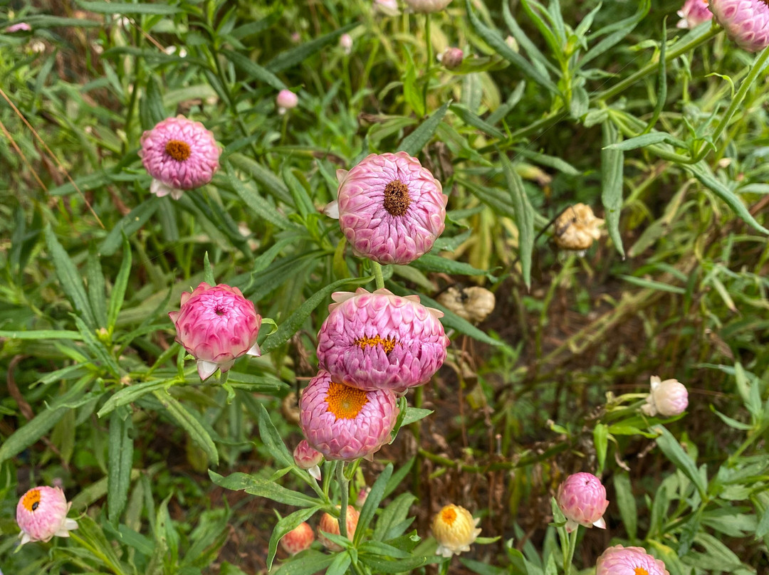 The Lodge At Wah, Kandbari主图