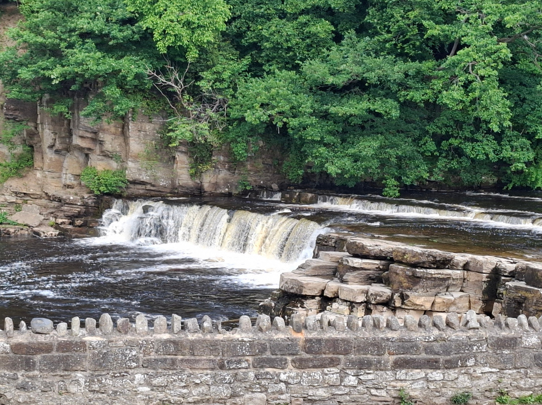 Richmond Falls-里士满必去景点