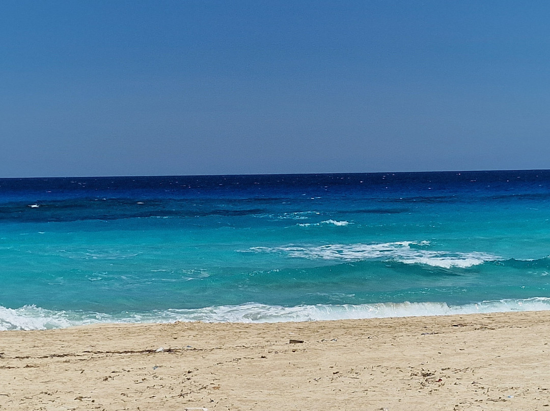 Adriatica Hotel主图