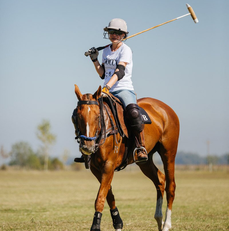 Estancia La Bandada主图