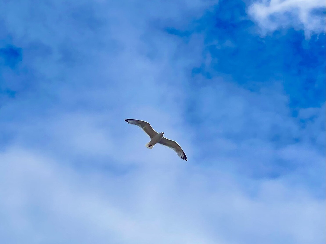 Fife Coastal Path-法夫郡必去景点