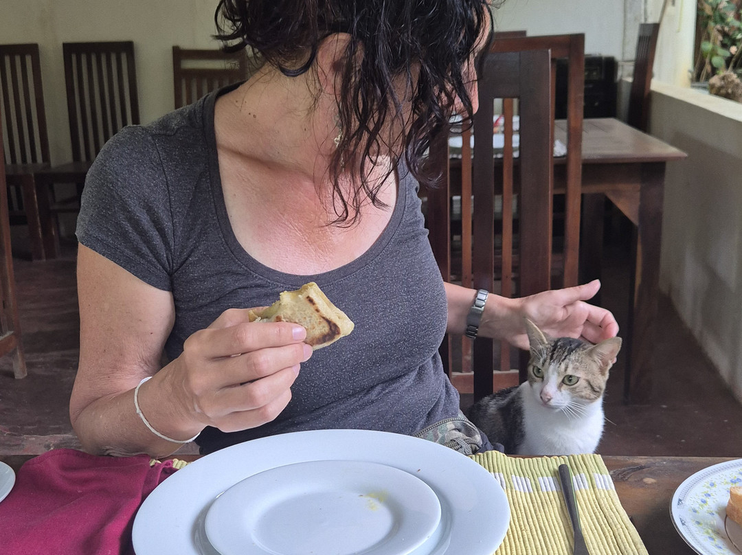 Levona Garden Resort主图