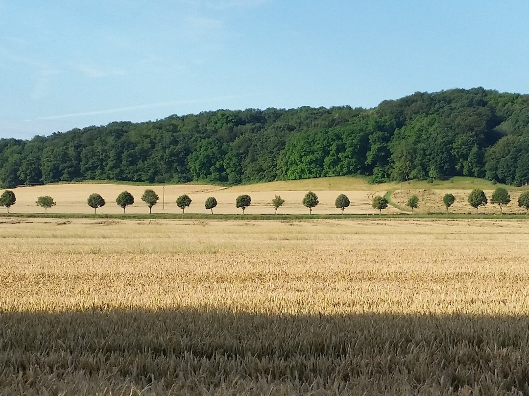 Menschels Vitalresort主图