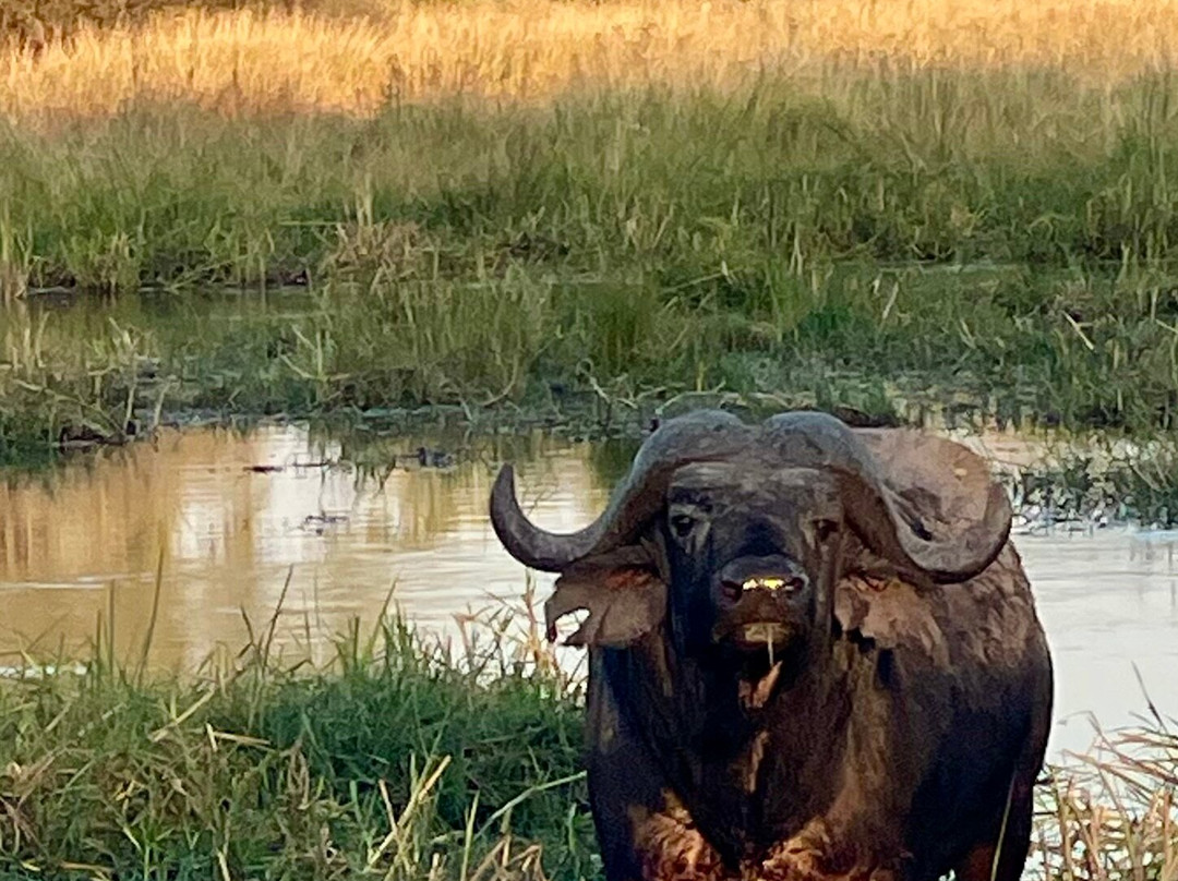 Africa's Best Adventures-开普敦必去景点