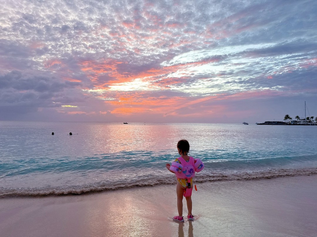 Port St. Charles主图