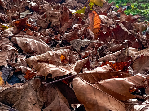 Praca Regional da Uva-Otavio Rocha必去景点