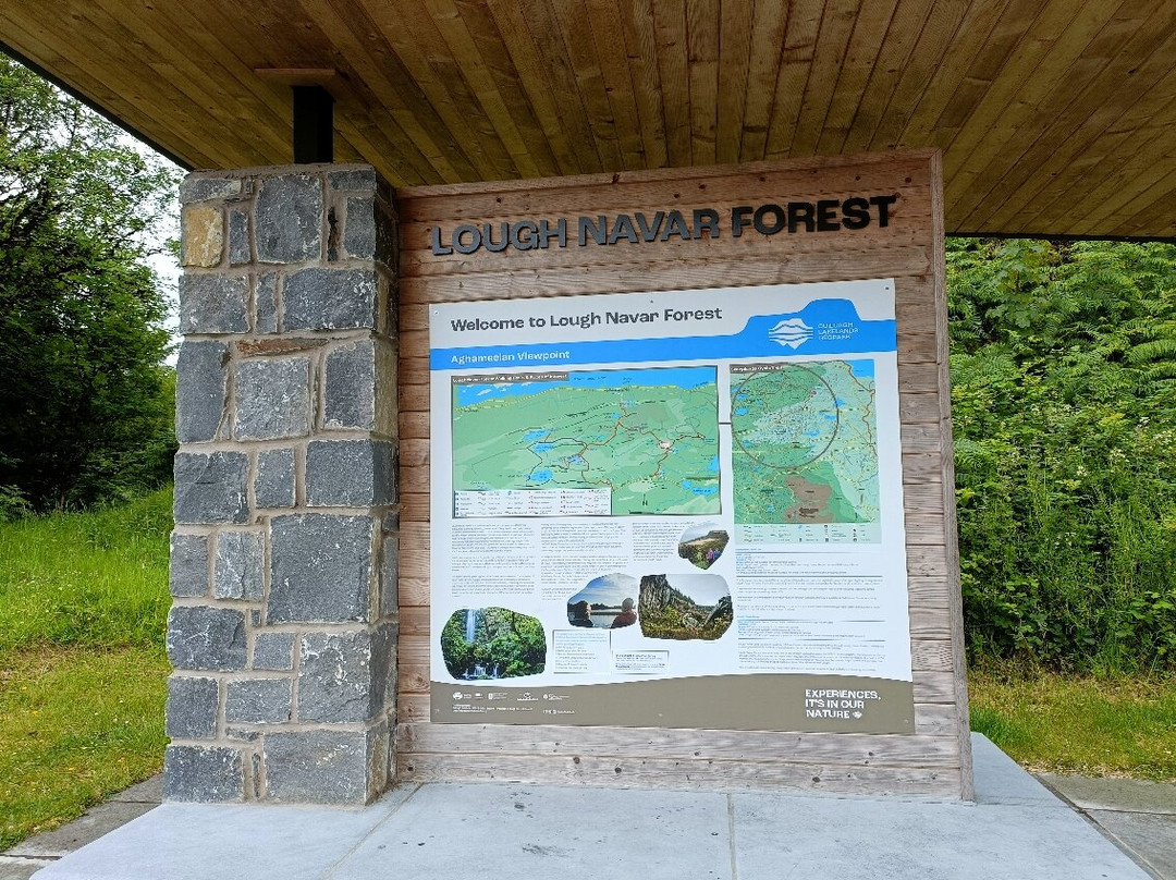 Lough Navar Forest Viewpoint-Derrygonnelly必去景点