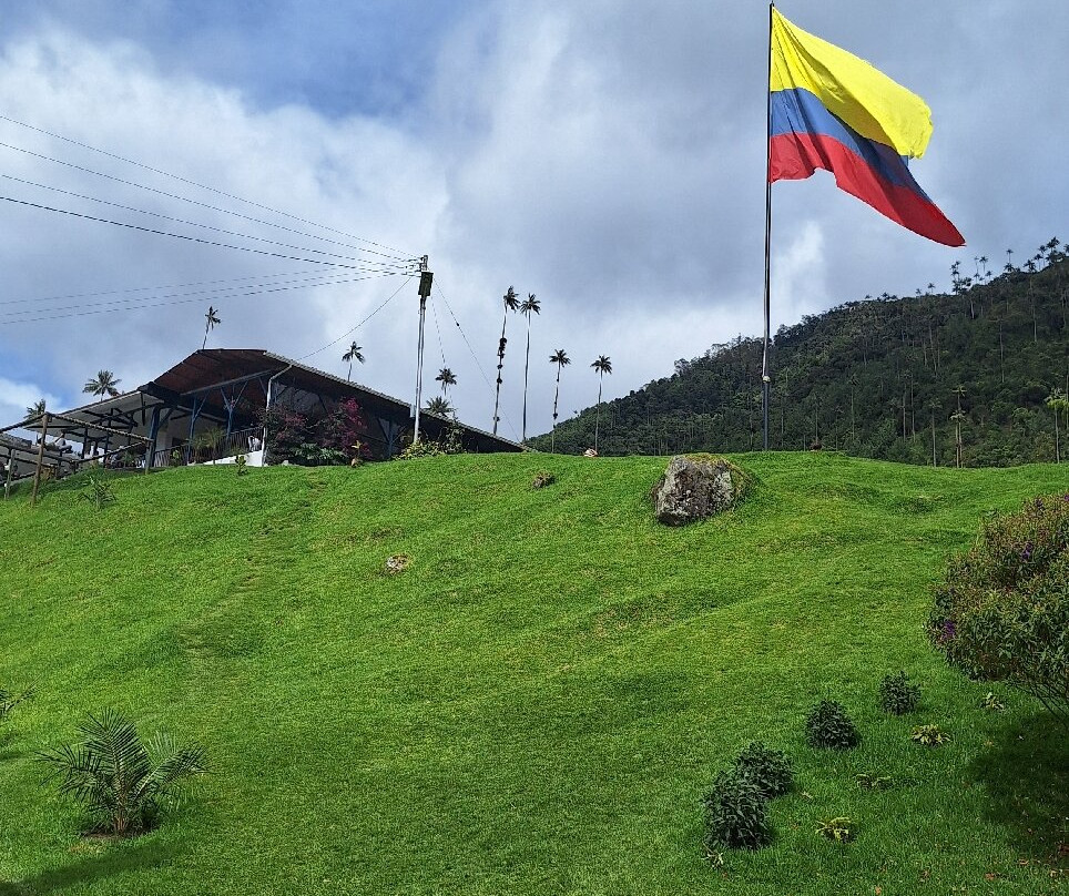 Valle De Cocora-萨伦托必去景点
