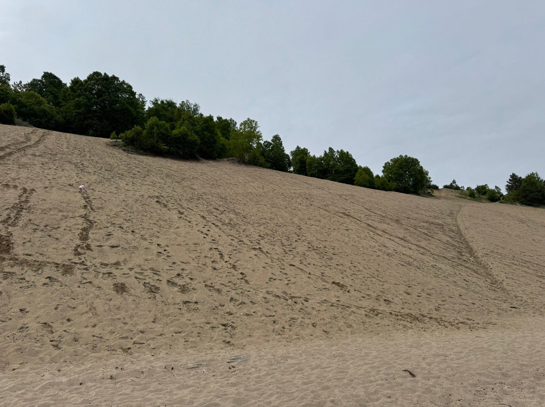 Les Dunes-泰道沙克必去景点