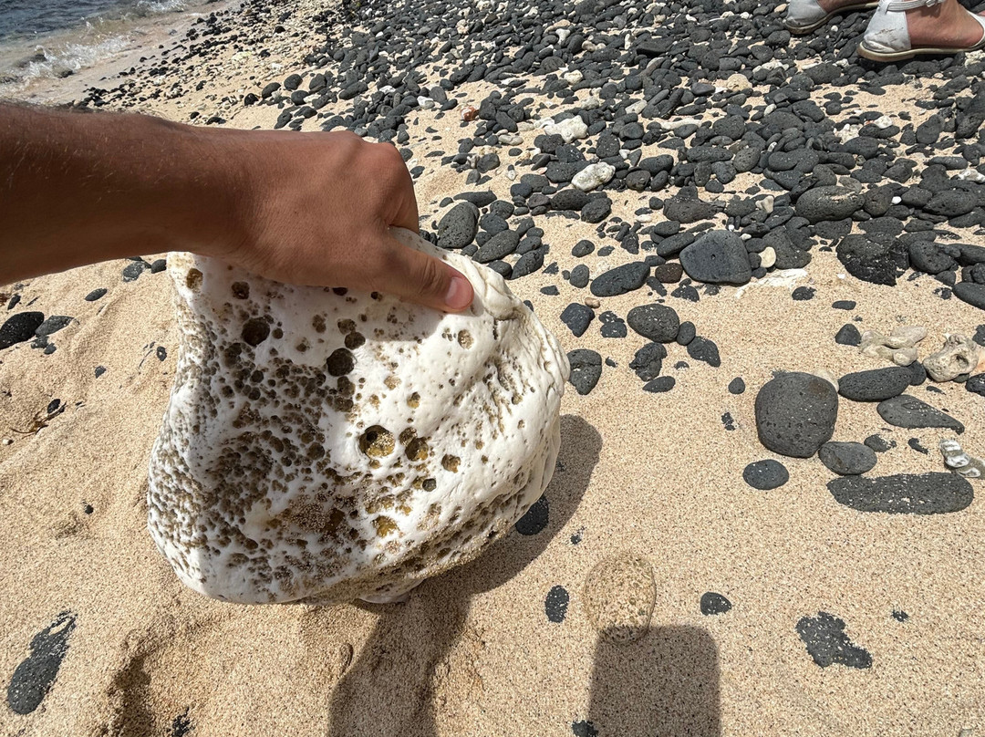 Dravuni Island-苏瓦必去景点