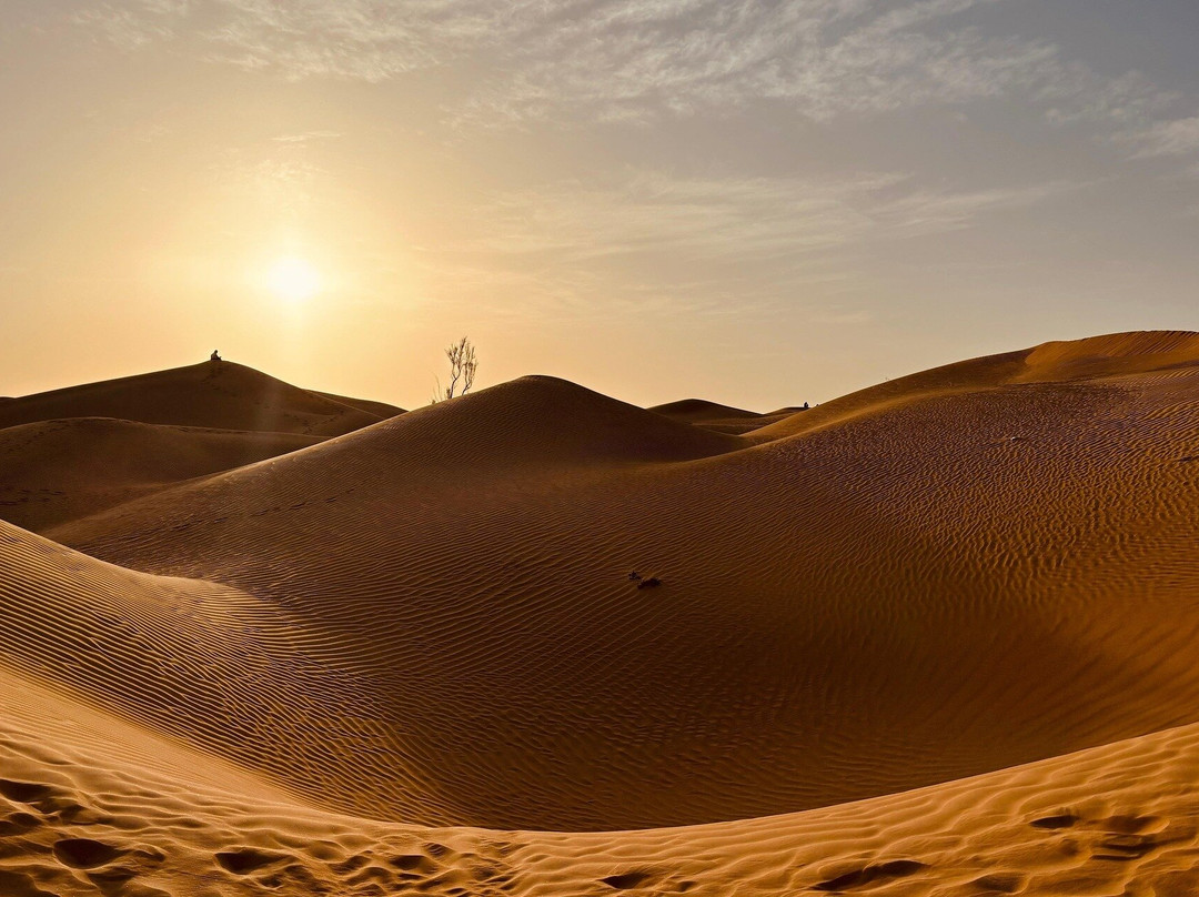 Wahiba Desert Safari & Sunset