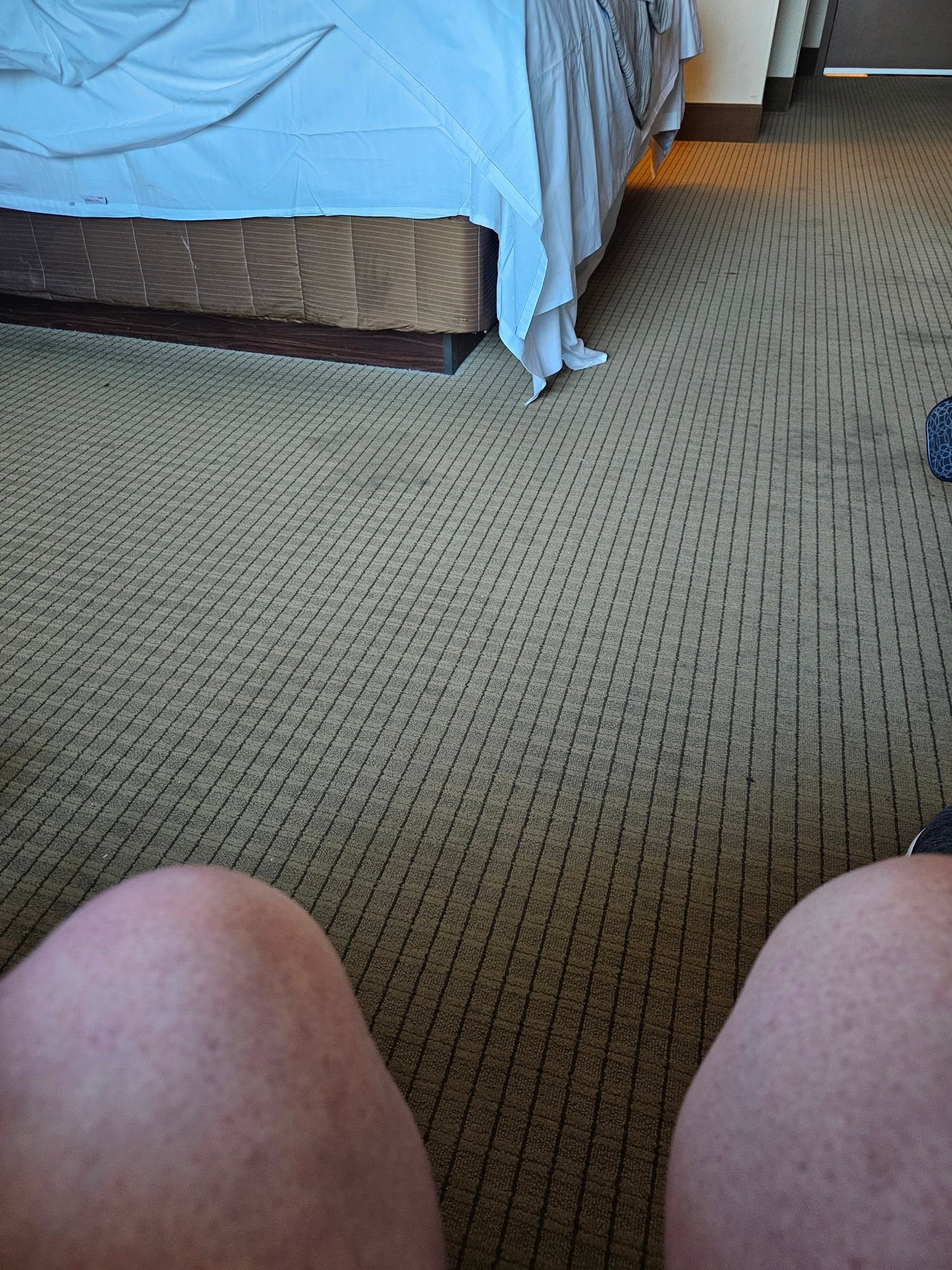 Isle of Capri Casino Hotel Boonville-客卧