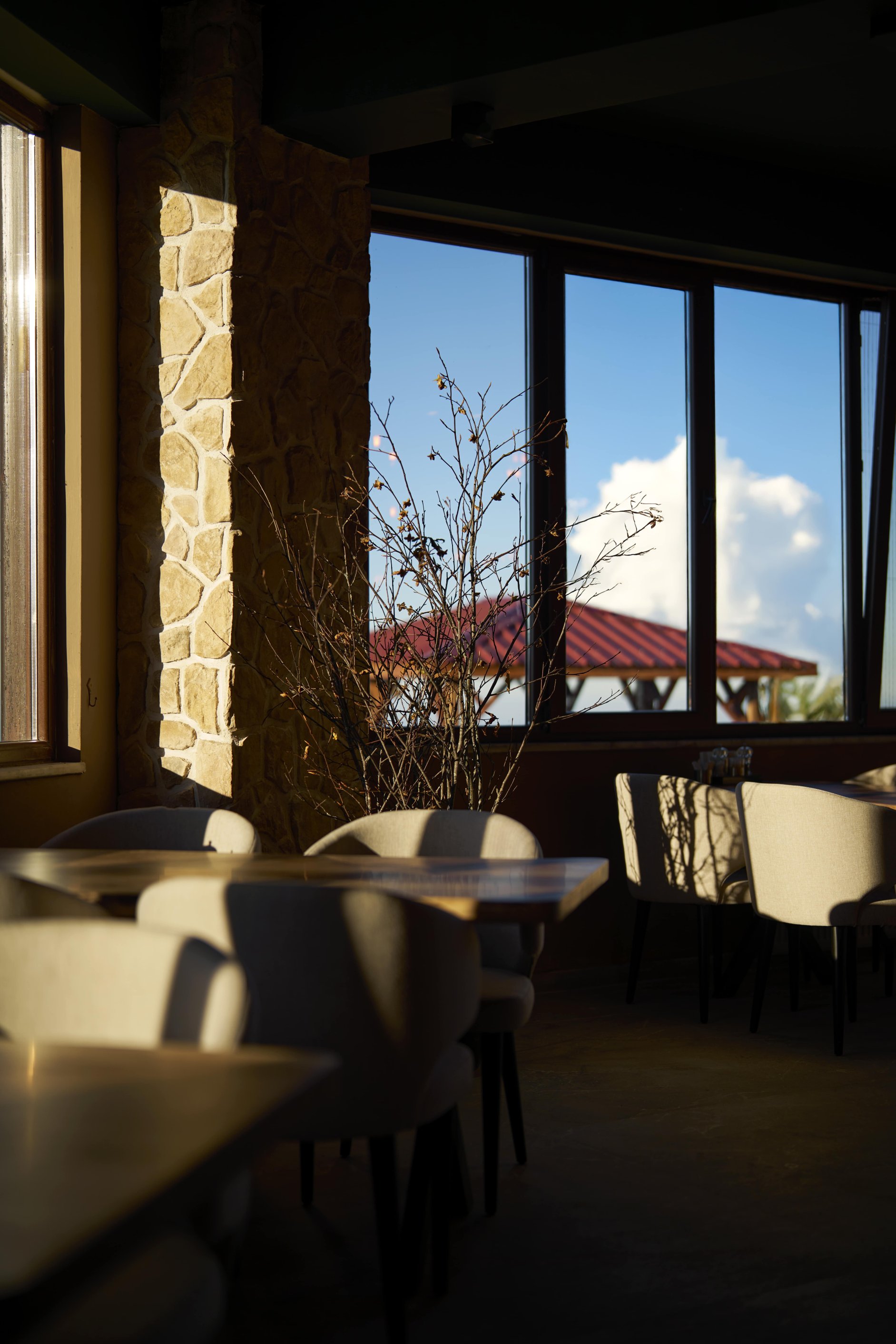 弗洛拉汉杜祖度假村及健康平房酒店-餐饮