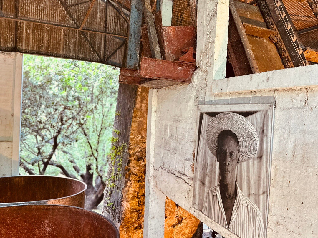 Fondation Clément-Le Francois必去景点